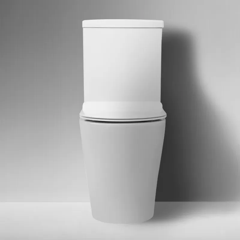 Modern High-Quality Ceramic St - огляд і ціна Home Bathroom With Two Toilets